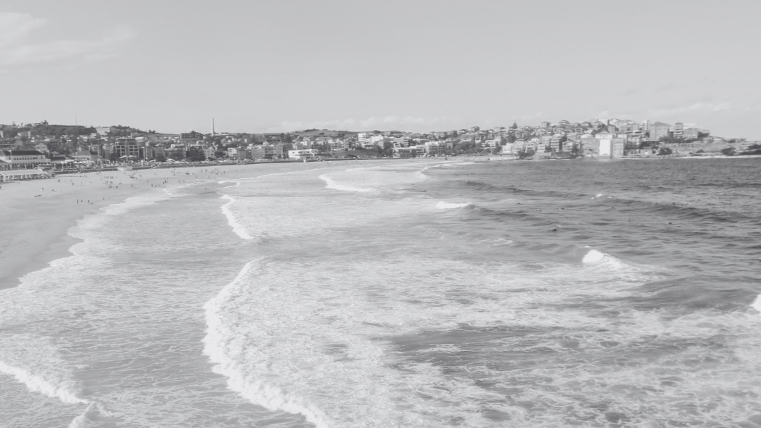 What Bondi Taught Me About Grief